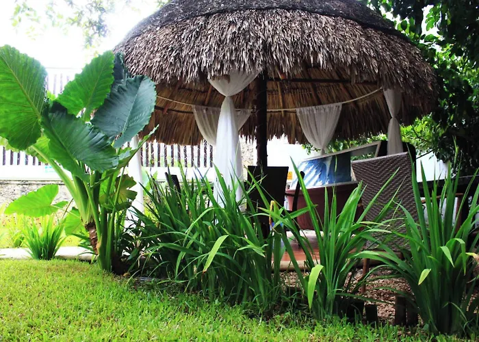 Hotel Mayan Art Boutique - 10th Ave